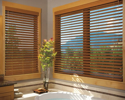 Window Curtains